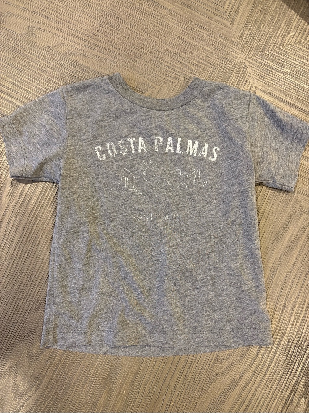 H&M graphic grey soft cotton short sleeve casual neutral tee 2T 24 months